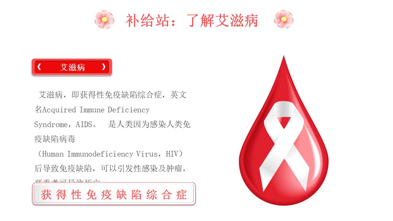 安全教育 (12).pptx